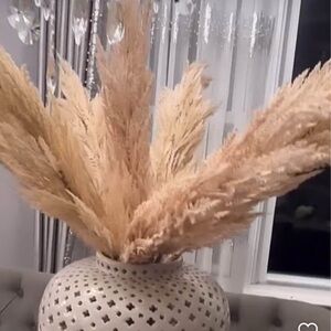 Z Gallerie  Pampas Grass set of 14